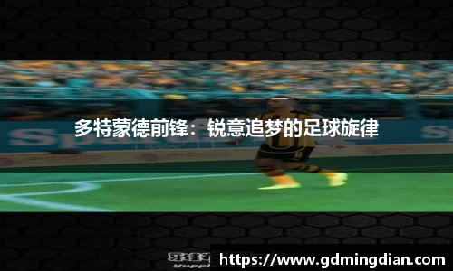 多特蒙德前锋：锐意追梦的足球旋律