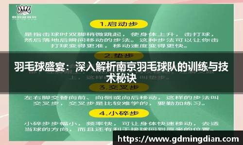 羽毛球盛宴：深入解析南京羽毛球队的训练与技术秘诀