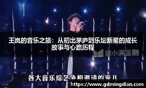 王岚的音乐之旅：从初出茅庐到乐坛新星的成长故事与心路历程
