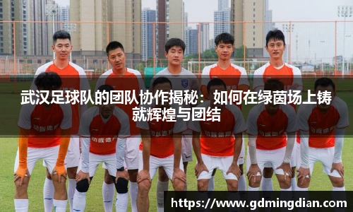 武汉足球队的团队协作揭秘：如何在绿茵场上铸就辉煌与团结