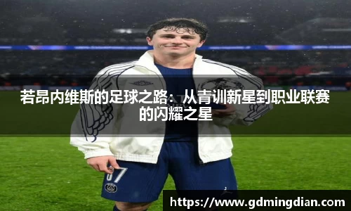 若昂内维斯的足球之路：从青训新星到职业联赛的闪耀之星