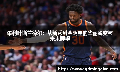 朱利叶斯兰德尔：从新秀到全明星的华丽蜕变与未来展望