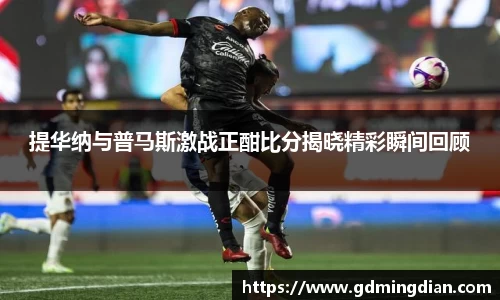 zoty中欧体育